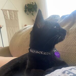 As above, so below ❣️